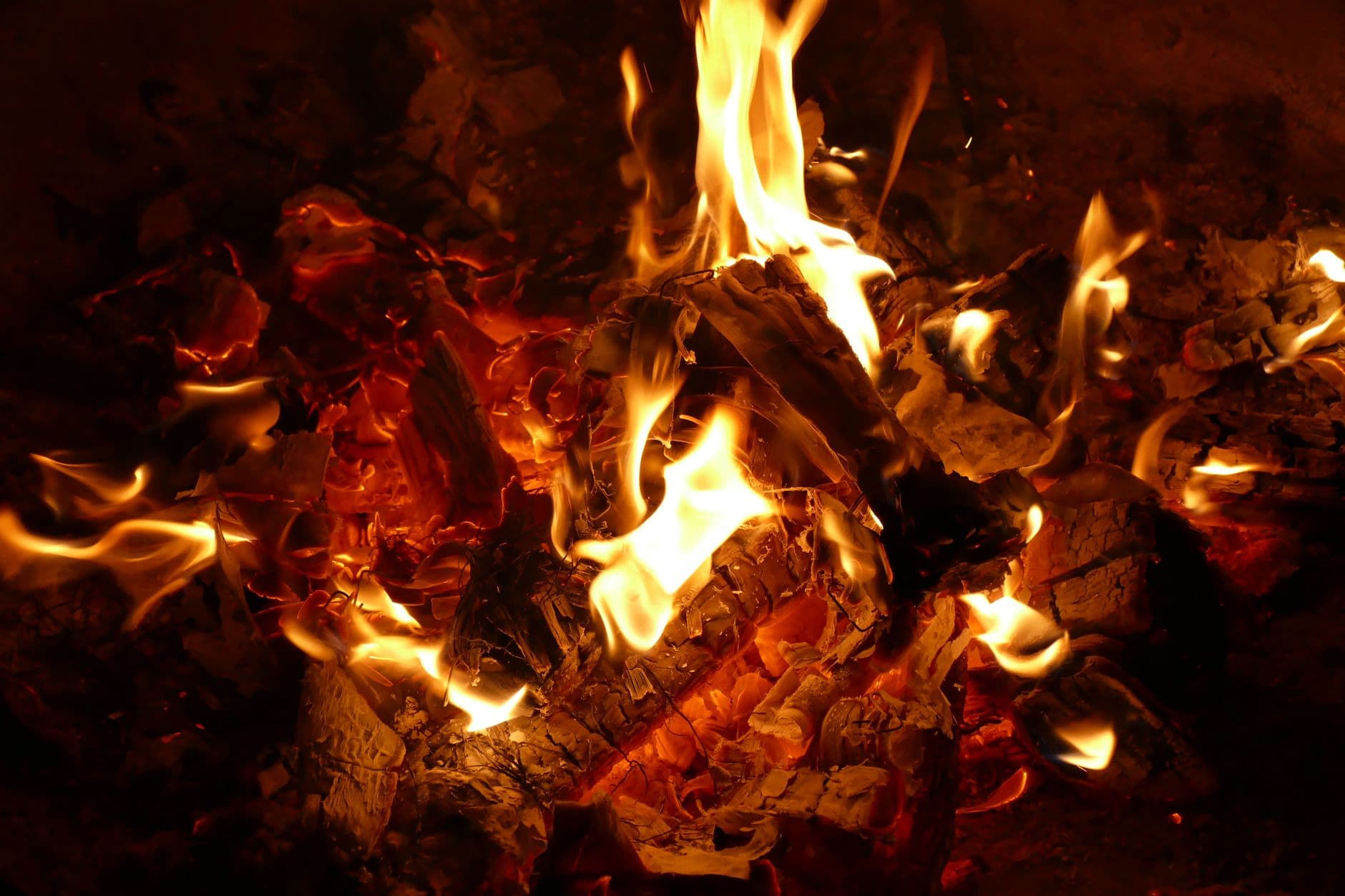 A vivid close-up of a burning campfire, showcasing glowing embers and flames.